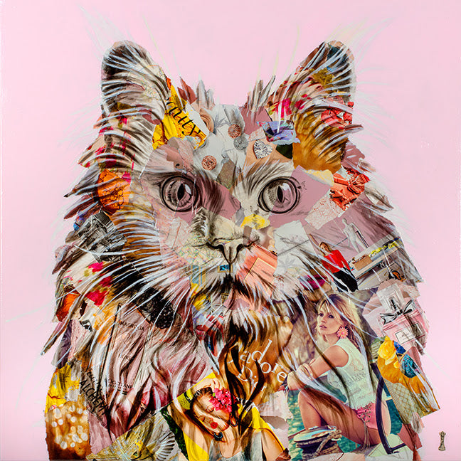 Pampurred
