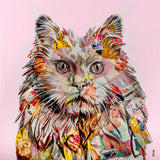 Pampurred