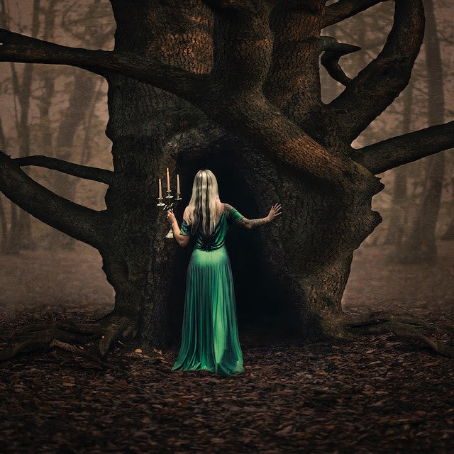 Woodland Whispers