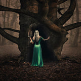 Woodland Whispers