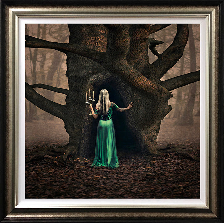 Woodland Whispers