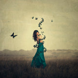 Circle Of Wings