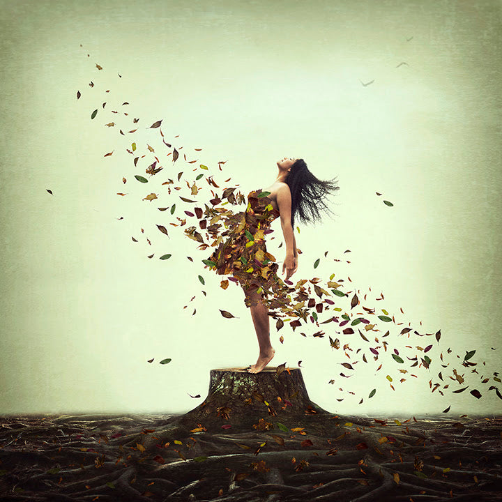 Everlasting Roots