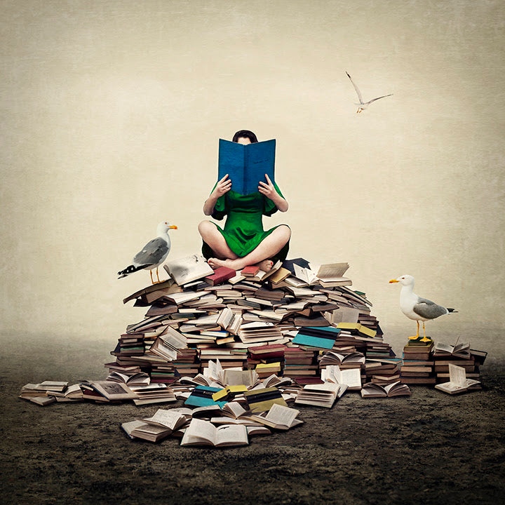 All The Stories We're Told