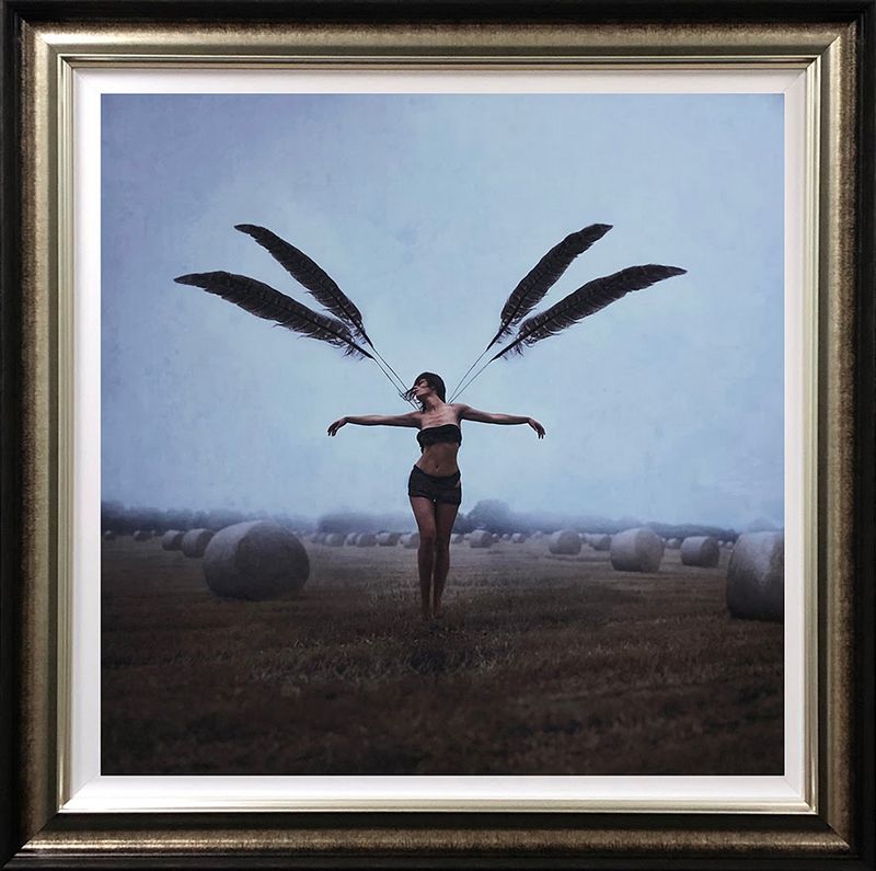 With Brave Wings She Flies